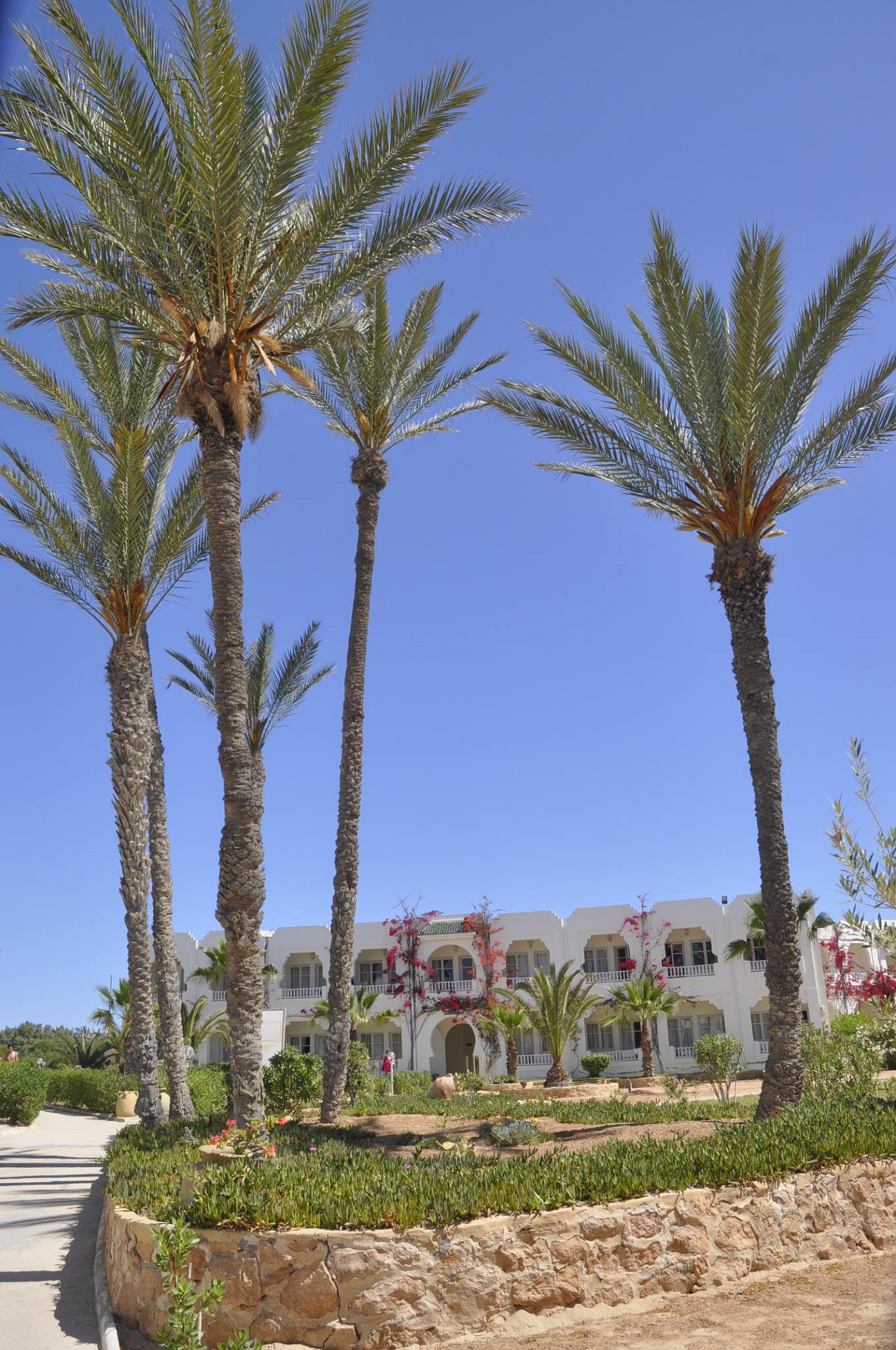 Jerba Sun Club Hotel Mezraia Exterior photo